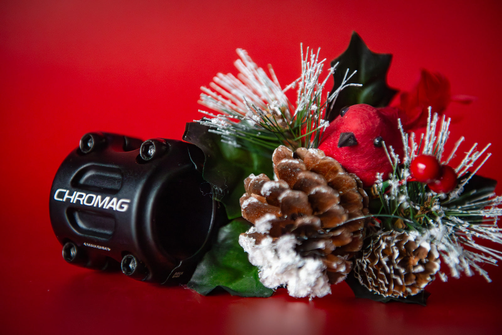 Gifts Under $200