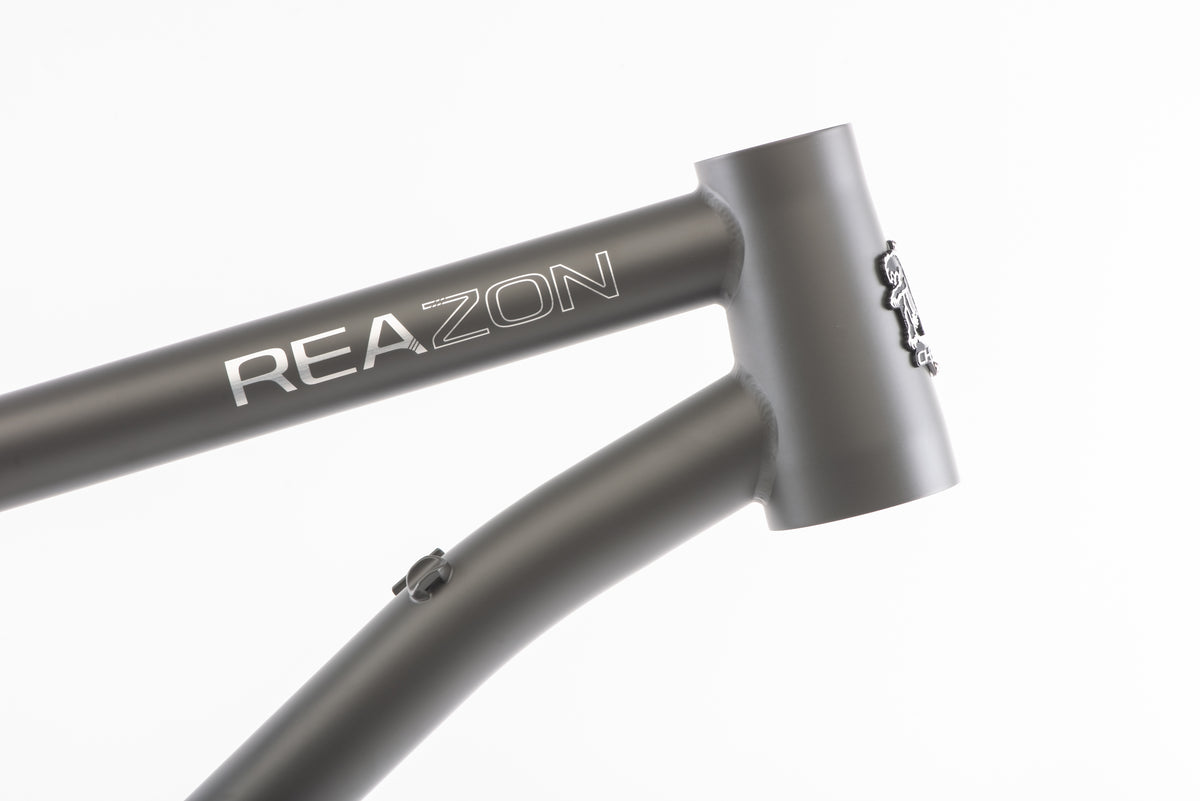 Reazon Blem